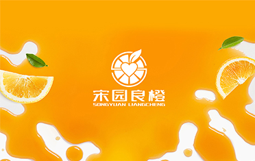 某良橙——信阳LOGO设计
