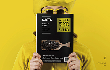 信阳绯茶品牌设计